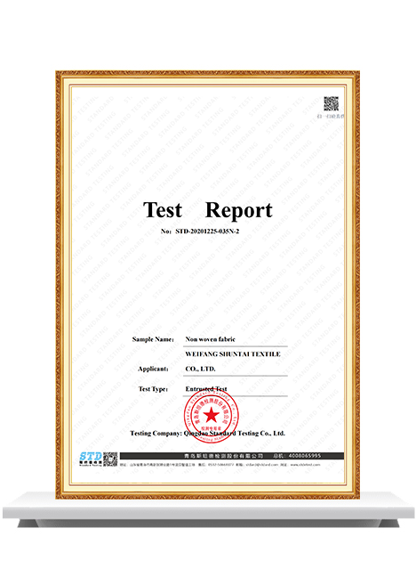 Test report_00.png